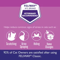 CEVA Feliway Classic Refill Ανταλλακτικό 48ml για το στρες στις Γάτες -Προμήθειες Για Κατοικίδια Κατάστημα πωλήσεων 05Amazon FeliwayDiffuser 1024x1024@2x 1000x1000 1