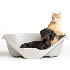 Πλαστικό Κρεβάτι Bama Nido Brown 60cm -Προμήθειες Για Κατοικίδια Κατάστημα πωλήσεων 19070 01 1000x1000 1