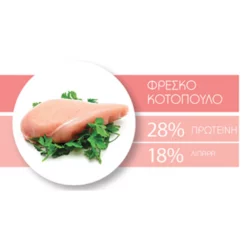 1st Choice Γάτας Indoor Vitality 10kg -Προμήθειες Για Κατοικίδια Κατάστημα πωλήσεων 1st20indoor2 1000x1000w