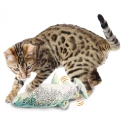 Παιχνίδι Γάτας AFP Instincts Fish Trout Με Catnip και Silvervine 9 Παιχνίδι Γάτας AFP Instincts Fish Trout Με Catnip και Silvervine -Προμήθειες Για Κατοικίδια Κατάστημα πωλήσεων 2027 4 1000x1000w