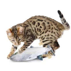 Παιχνίδι Γάτας AFP Instincts Fish Sardine Με Catnip 10 Παιχνίδι Γάτας AFP Instincts Fish Sardine Με Catnip -Προμήθειες Για Κατοικίδια Κατάστημα πωλήσεων 2028 2 1000x1000w