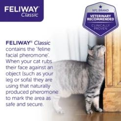 CEVA Feliway Classic Refill Ανταλλακτικό 48ml για το στρες στις Γάτες -Προμήθειες Για Κατοικίδια Κατάστημα πωλήσεων 71G7pheBilL. SL1280 1000x1000 1