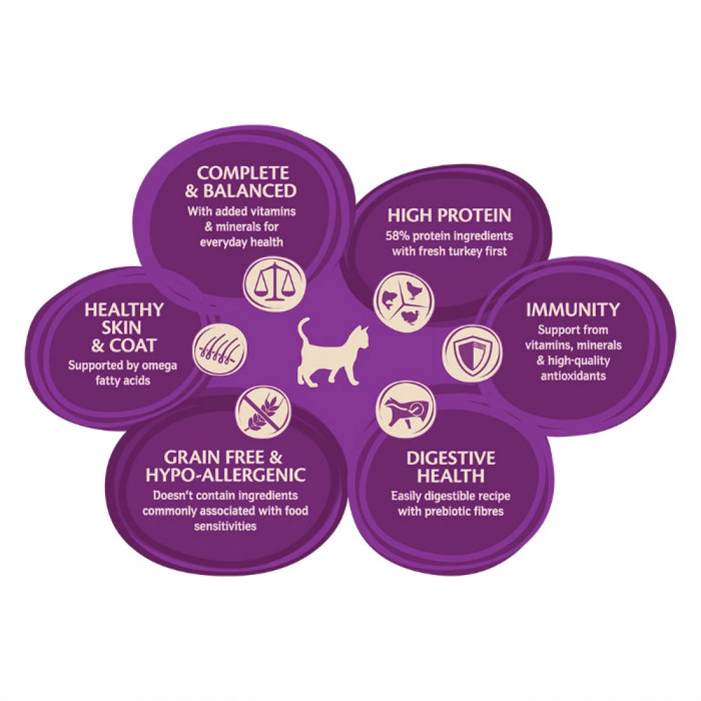 Wellness Core Cat Kitten Γαλοπούλα Κοτόπουλο 1.75kg + Δώρο 300gr 5 Wellness Core Cat Kitten Γαλοπούλα Κοτόπουλο 1.75kg + Δώρο 300gr - Image 3