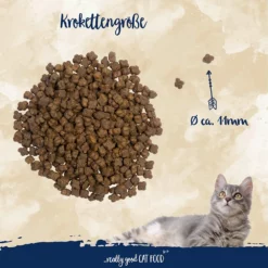Sanabelle Kitten 10kg -Προμήθειες Για Κατοικίδια Κατάστημα πωλήσεων 81vX140WZCL. AC SL1500 1000x1000 1