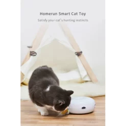 Παιχνίδι Γάτας Homerun Smart Cat Disc 17,5cm 9 Παιχνίδι Γάτας Homerun Smart Cat Disc 17,5cm -Προμήθειες Για Κατοικίδια Κατάστημα πωλήσεων ABUIABACGAAg vqz4wUoisPkpgEw7gU42gg 1000x1000h