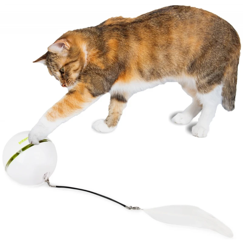 Διαδραστικό Παιχνίδι Γάτας AFP Rolling Laser Ball 6,5x6,5x6,5cm 3 Διαδραστικό Παιχνίδι Γάτας AFP Rolling Laser Ball 6,5x6,5x6,5cm