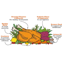 Ξηρά Τροφή Little Big Paw Kitten Chicken 375gr 8 Ξηρά Τροφή Little Big Paw Kitten Chicken 375gr -Προμήθειες Για Κατοικίδια Κατάστημα πωλήσεων CHK KIT Ingredient Hero 1024x491 1000x1000w