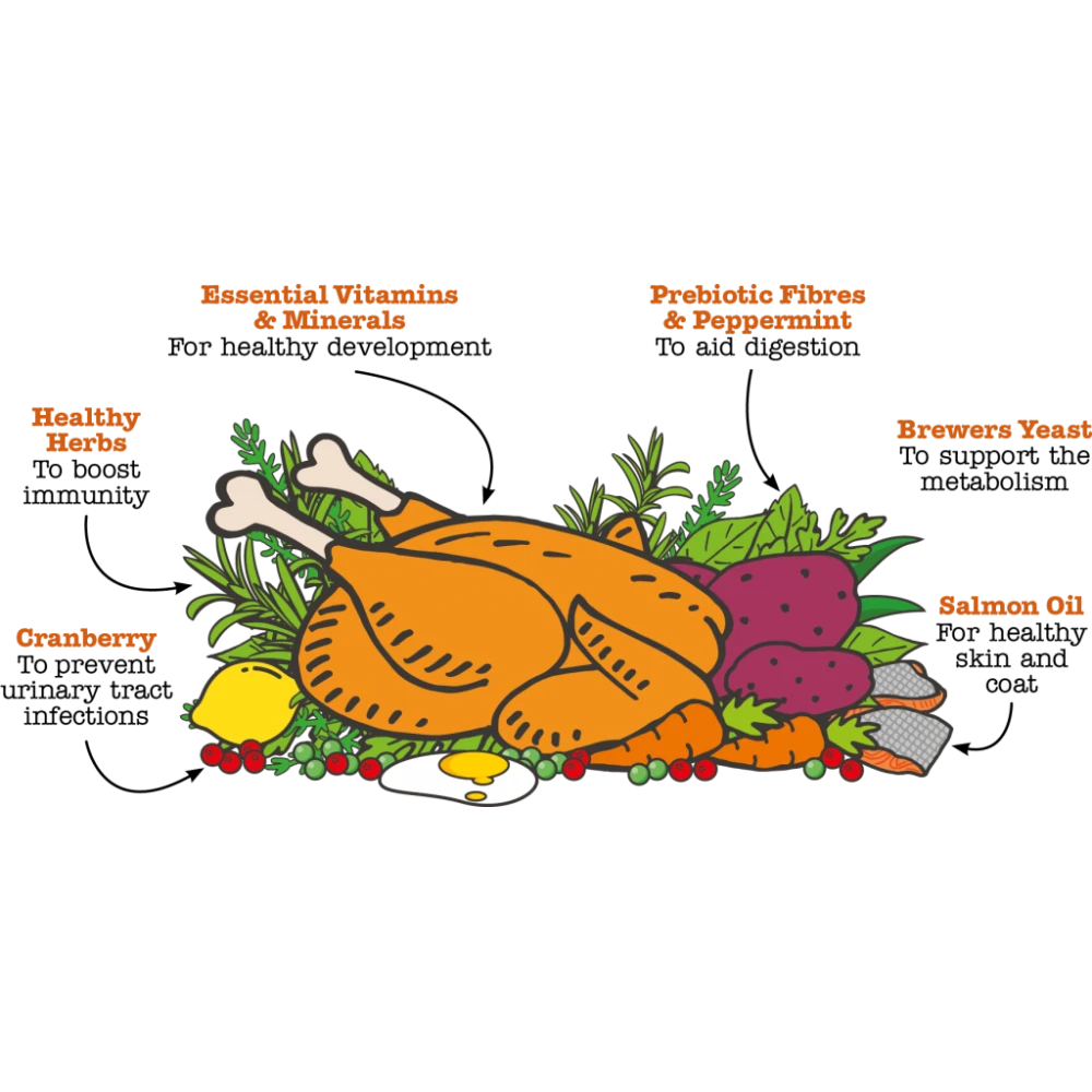 Ξηρά Τροφή Little Big Paw Kitten Chicken 375gr 5 Ξηρά Τροφή Little Big Paw Kitten Chicken 375gr - Image 3