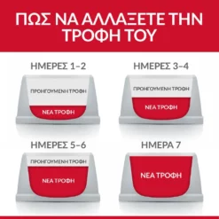 Hills Hill's Science Plan Adult Sensitive Stomach & Skin για Γάτες 1,5kg 11 Hills Hill's Science Plan Adult Sensitive Stomach & Skin για Γάτες 1,5kg -Προμήθειες Για Κατοικίδια Κατάστημα πωλήσεων Cat Kitten Chicken Transition Food Transition EL201 1000x1000 1