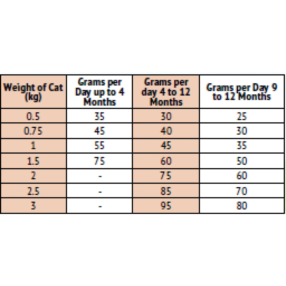 Ξηρά Τροφή Little Big Paw Kitten Chicken 375gr 6 Ξηρά Τροφή Little Big Paw Kitten Chicken 375gr - Image 4