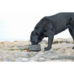 Kong Fold-up Travel Bowl Αναδιπλούμενα Μπολάκια Σετ 2 Τεμαχίων -Προμήθειες Για Κατοικίδια Κατάστημα πωλήσεων KONG98437 kong fold up double bowl 1000x1000w 1