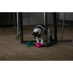 OEM Διαδραστικό Παιχνίδι Γάτας Robocat Mouse Ροζ -Προμήθειες Για Κατοικίδια Κατάστημα πωλήσεων ROBO021 robocat pink mouse petshop88 3 1000x1000w