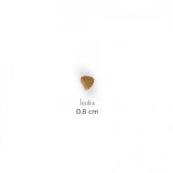 Hills Hill's Science Plan Kitten Healthy Development Για Γάτες με Κοτόπουλο 3kg -Προμήθειες Για Κατοικίδια Κατάστημα πωλήσεων kitten 1000x1000 2