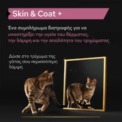 Purina Pro Plan Cat Skin & Coat + Συμπλήρωμα Διατροφής Γάτας για Δέρμα και Τρίχωμα σε Έλαιο 150ml -Προμήθειες Για Κατοικίδια Κατάστημα πωλήσεων purina pro plan cat skin and coat sympliroma diatrofis gatas gia derma kai trichoma se elaio 150ml petshop88 2 1000x1000 1