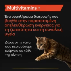 Purina Pro Plan Cat Multivitamins + Συμπλήρωμα Διατροφής Γάτας με Πολυβιταμίνες σε Σκόνη 60gr -Προμήθειες Για Κατοικίδια Κατάστημα πωλήσεων purina pro plan cat sympliroma diatrofis gatas me polyvitamines se skoni 60gr petshop88 3 1000x1000 1