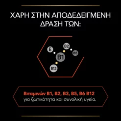 Purina Pro Plan Cat Multivitamins + Συμπλήρωμα Διατροφής Γάτας με Πολυβιταμίνες σε Σκόνη 60gr -Προμήθειες Για Κατοικίδια Κατάστημα πωλήσεων purina pro plan cat sympliroma diatrofis gatas me polyvitamines se skoni 60gr petshop88 4 1000x1000 1