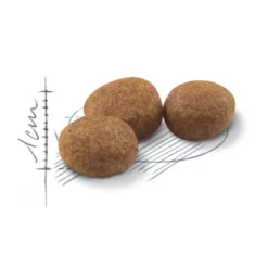 Royal Canin Cat Sterilised 4kg 9 Royal Canin Cat Sterilised 4kg -Προμήθειες Για Κατοικίδια Κατάστημα πωλήσεων rc fhn sterilised37 cv eretailkit 3 8 1000x1000w