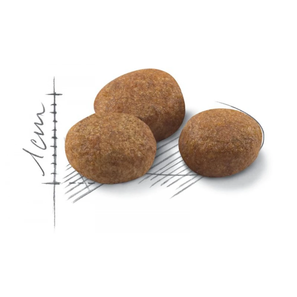 Royal Canin Cat Sterilised +7 1,5kg 5 Royal Canin Cat Sterilised +7 1,5kg - Image 3