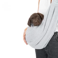 Σάκος Μεταφοράς Σκύλου Μπροστινός Trixie Front Carrier 22x20x60cm Γκρι - Πράσινο -Προμήθειες Για Κατοικίδια Κατάστημα πωλήσεων sakos metaforas skuloy mprostinos trixie front carrier 22x20x60cm gkri prasino petshop88 4 1000x1000 1