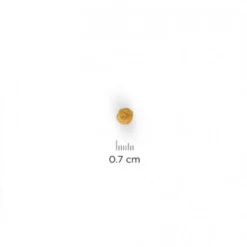 Hills Hill's Science Plan Adult Sterilised Για Γάτες με Κοτόπουλο 3kg -Προμήθειες Για Κατοικίδια Κατάστημα πωλήσεων stersiz 1000x1000 1